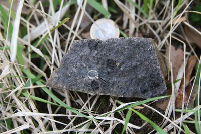 basalte1.jpg