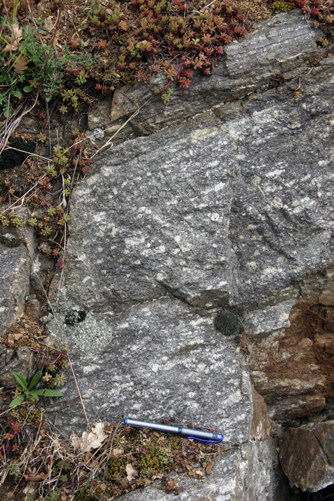 07 vallee du Doux site 5 photo 3.jpg