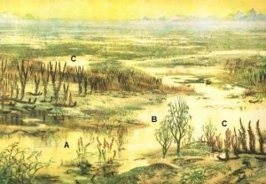 Ib reconstit rhynie1.jpg