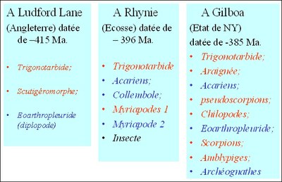 biodiversité silurien devonien.jpg