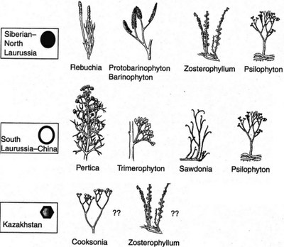 image-floredevonien1 1.jpg