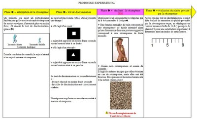 Protocole expérimental simplifié