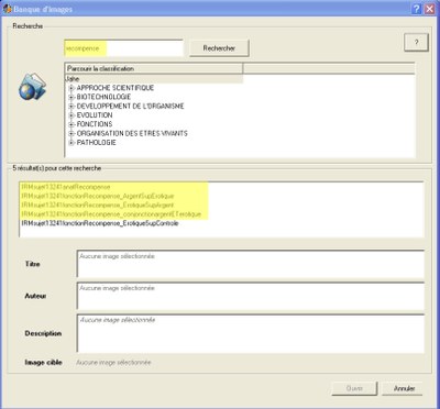 Ouvrir une image en ligne 2ème approche