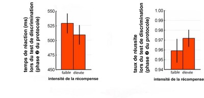 Analyse du comportemet des sujets après la promesse d'une récompense de type érotique