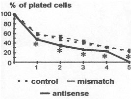 platedCells.jpg