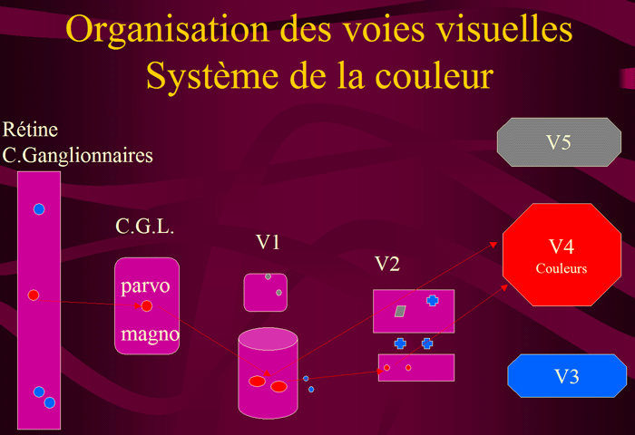 SystemeCouleur.gif