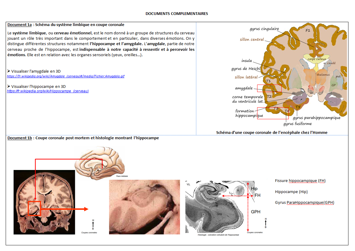 STRESS DOC COMPLEMENTAIRE 1
