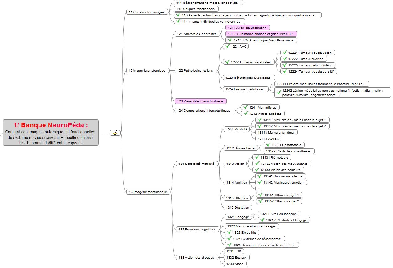 2019   Banque Neuropéda