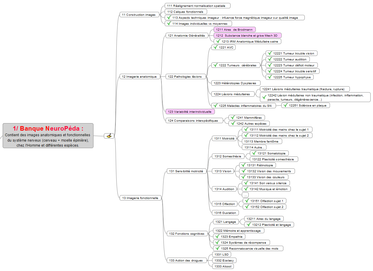 2022 01 Neuropeda Architecture