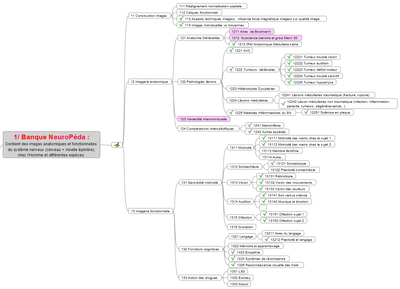 2022 01 Neuropeda Architecture