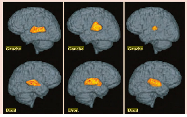Capture Jagmeet Kanwal   Copie (2)