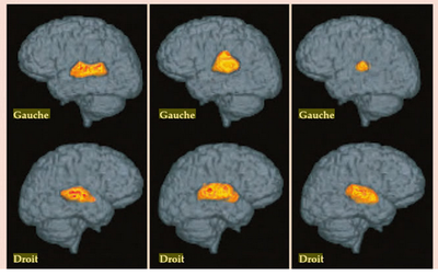 Capture Jagmeet Kanwal   Copie (2)