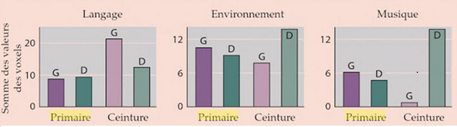 Capture Jagmeet Kanwal   Copie