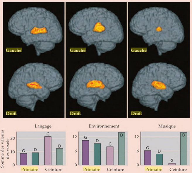 Capture Jagmeet Kanwal