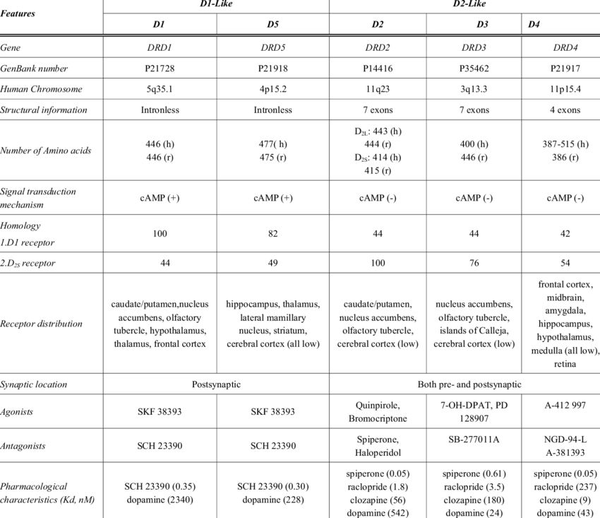  Pharmacological Characteristics of Dopamine Receptors