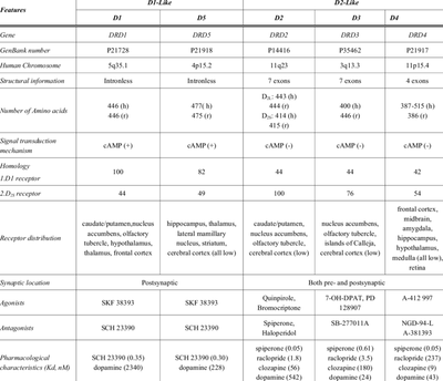  Pharmacological Characteristics of Dopamine Receptors