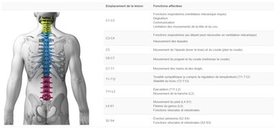 Relation lesion MEP et fonction affectée