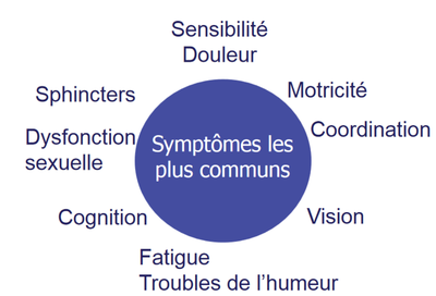 SEP Symptomes