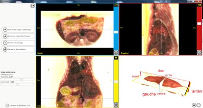 Souris Cryo 3 plans de coupe