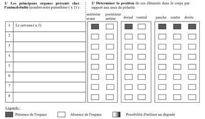 Tableau élève organes étudiés et position