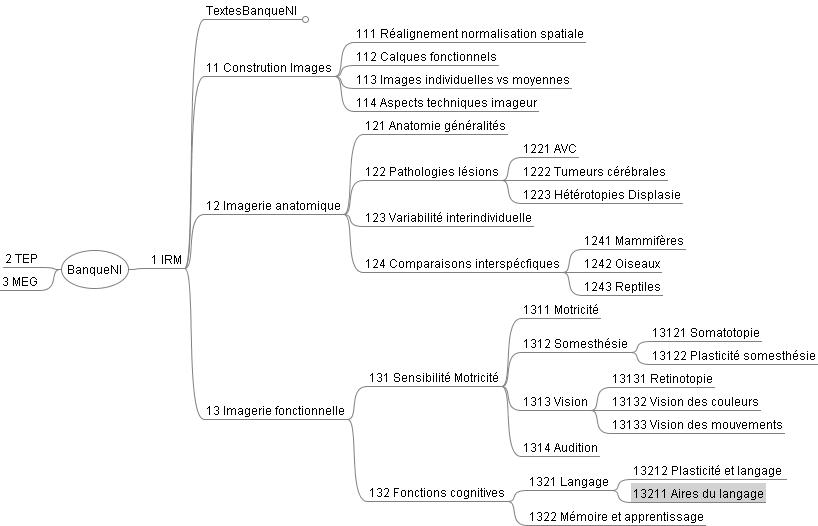 Architecture Banque de données NEUROPEDA