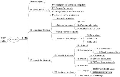 Architecture Banque de données NEUROPEDA
