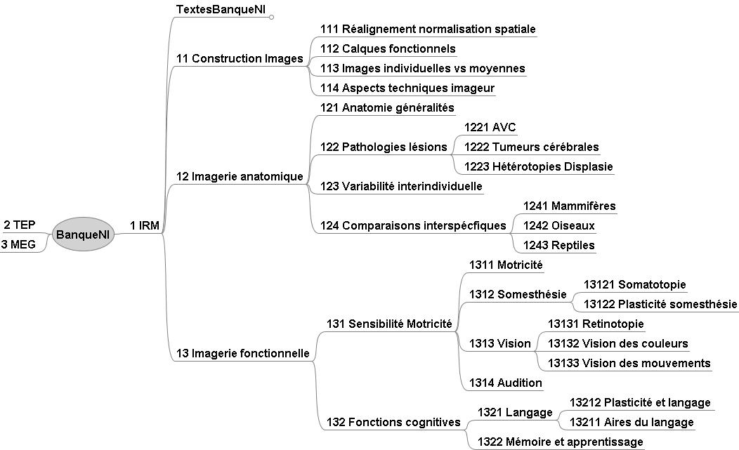 Architecture de la banque de données Neuropeda