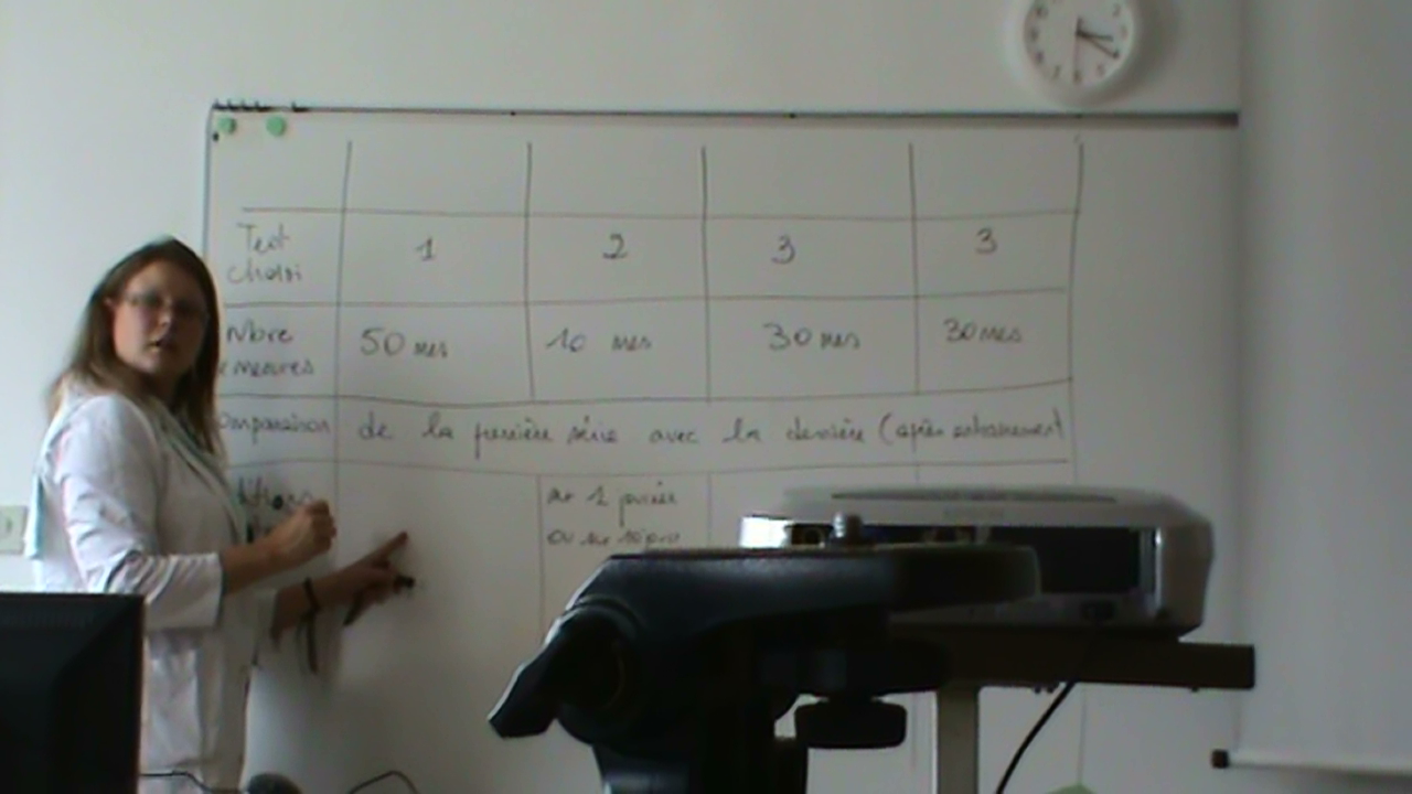 tableau de synthèse_4