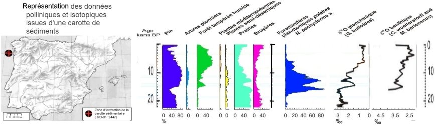 donnees pollen brutes.jpg