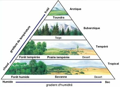 biomes_comparaison.jpg