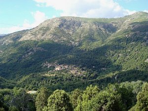 garrigue corse01.jpg