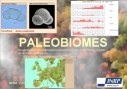 icone paleobiomes.jpg