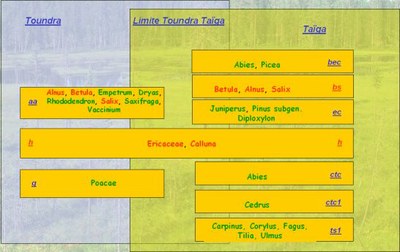 limitetoundra_taiga.jpg
