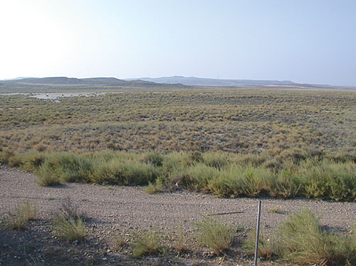 steppe
