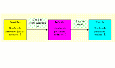 Modèle S.I.R