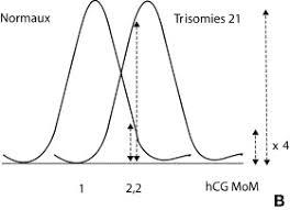 Courbe hCG