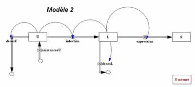 modele2.gif