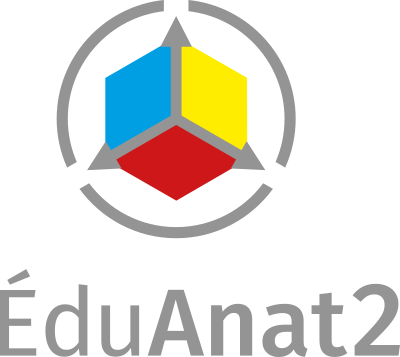 EduAnat2