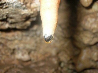 CR goutte stalactite.JPG