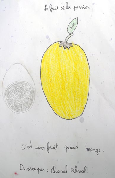 Fruit de la passion
