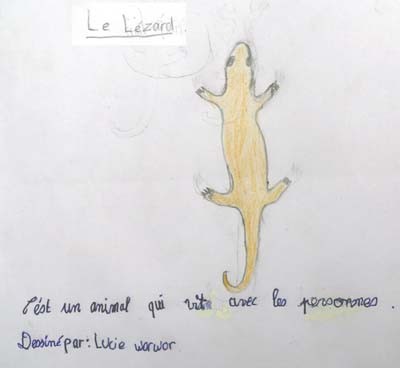 Lézard