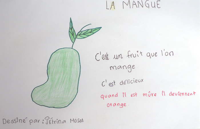 Mangue