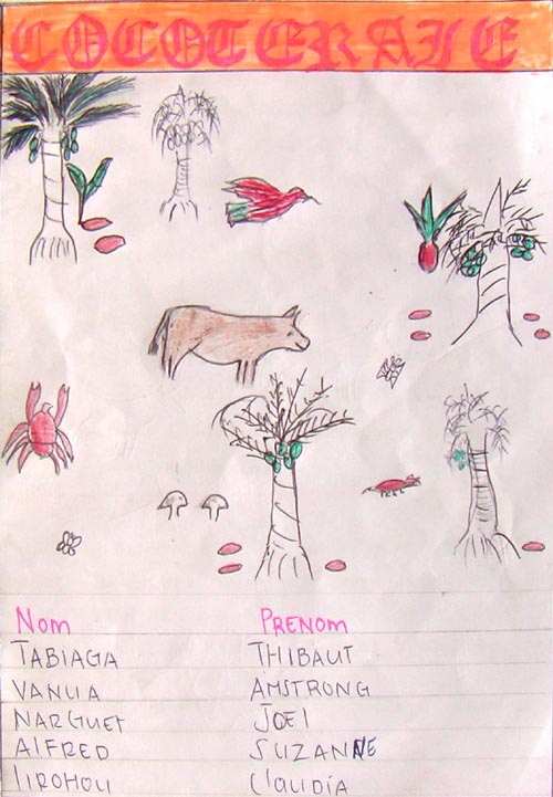 C:\Documents and Settings\fnac\Bureau\Pédagogique\Livret Biodiversité de Santo par les élèves\8eme ColSanto\cocoteraie page garde.jpg